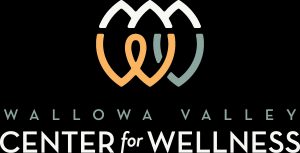 HOW Van: Health On Wheels Logo